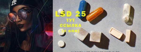 стафф Алзамай