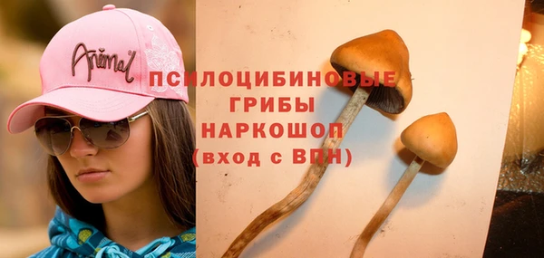 герыч Алексеевка