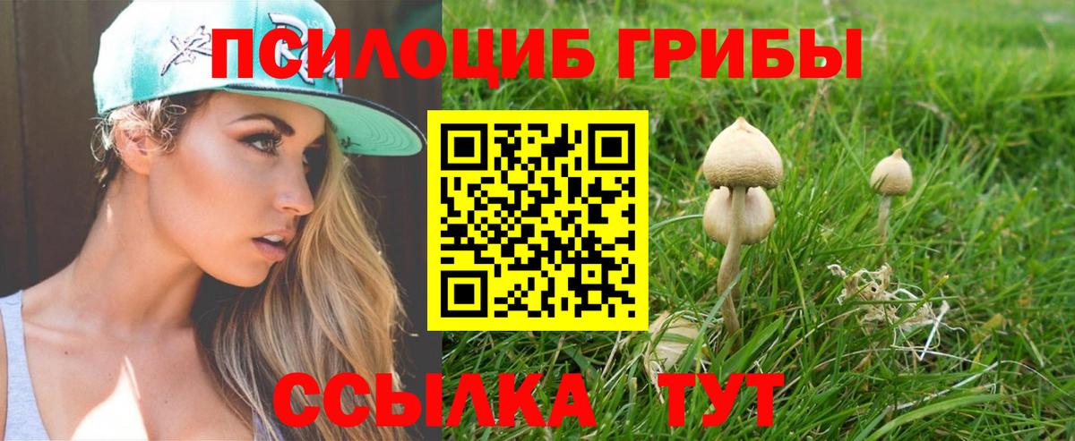 Галлюциногенные грибы прущие грибы  Галлюциногенные грибы GOLDEN TEACHER  Вход с VPN  Люберцы 